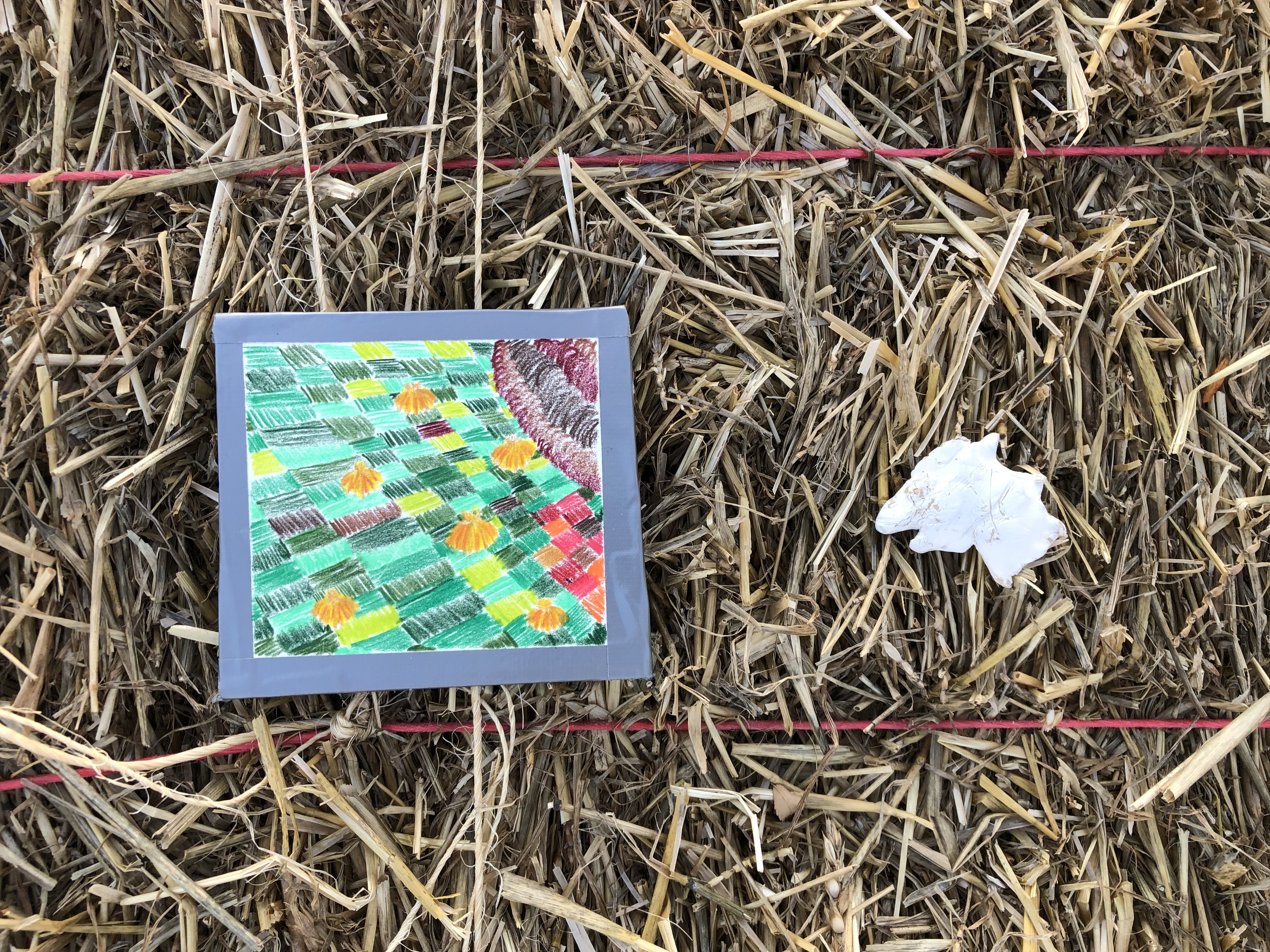 ISawSomethingInTheFields.LydiaKuzak,